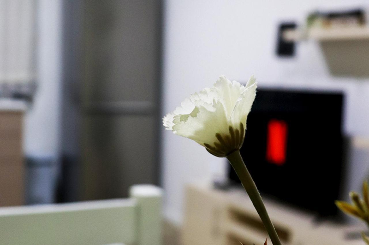 טיראנה Euonia Apartment מראה חיצוני תמונה
